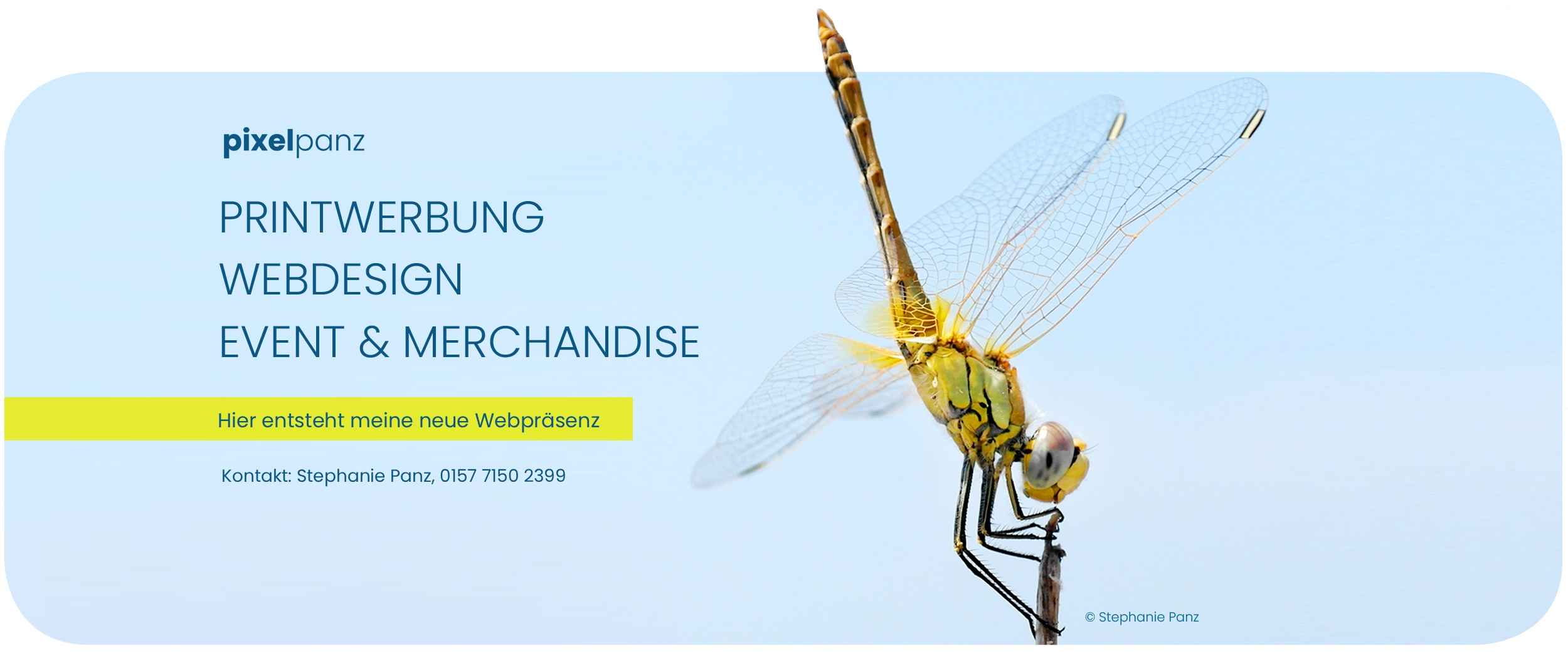 Websitegestaltung mit WordPress, Printwerbung und Merchandise Service in Düsseldorf
